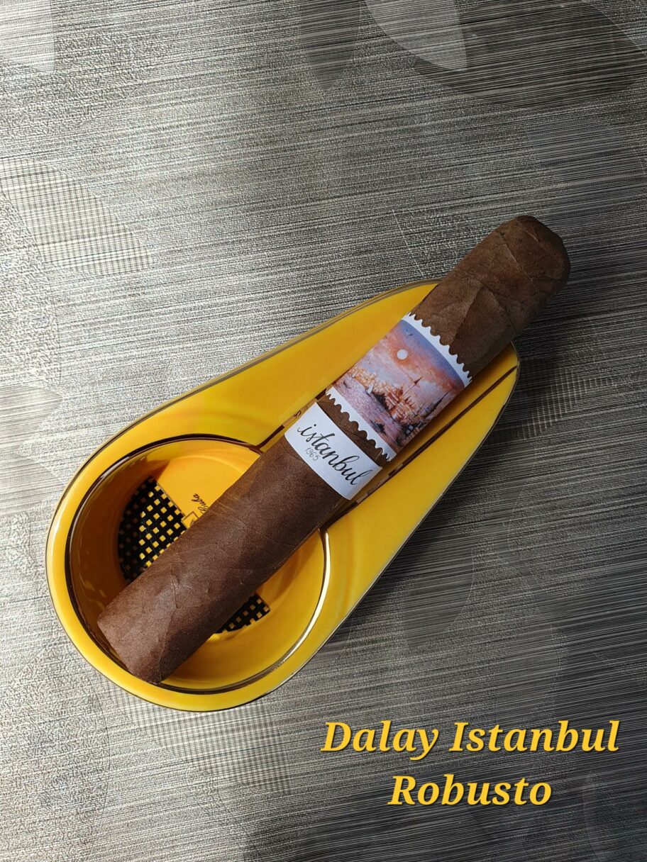 Dalay Istanbul Robusto Zigarre im gelben Aschenbecher
